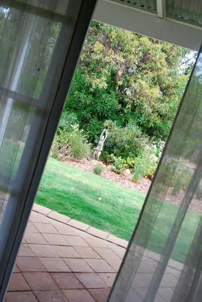 Llewellin'S Guest House Margaret River Exterior foto